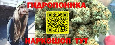 спайс Можга