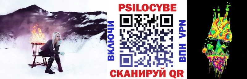хочу   Ессентуки  Галлюциногенные грибы прущие грибы 