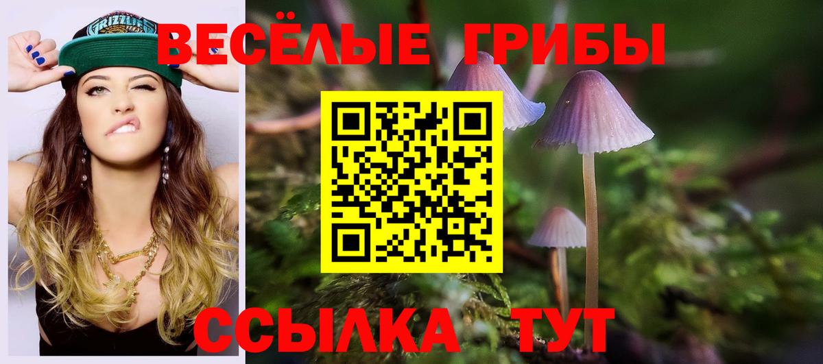Галлюциногенные грибы мицелий Ессентуки