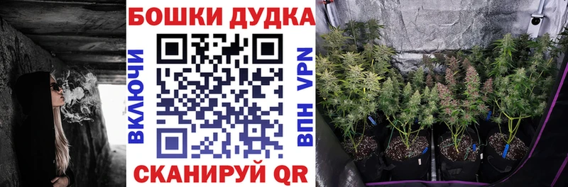 где можно купить наркотик  omg сайт  Конопля сатива  Ессентуки 